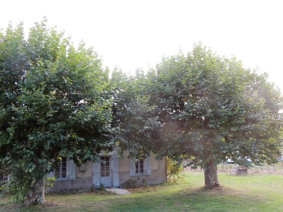 Entre Chevreuil Et Cerf Villa Belin-Beliet Luaran gambar