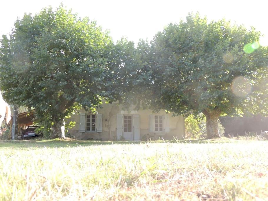 Entre Chevreuil Et Cerf Villa Belin-Beliet Luaran gambar
