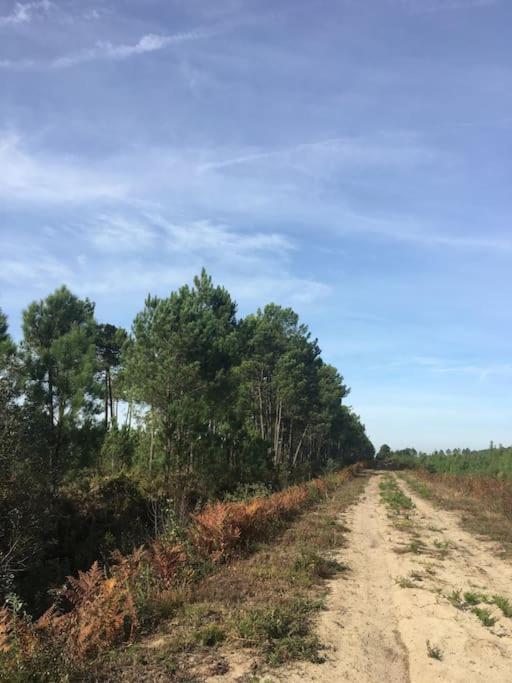 Entre Chevreuil Et Cerf Villa Belin-Beliet Luaran gambar